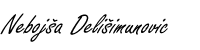 nebojsa potpis